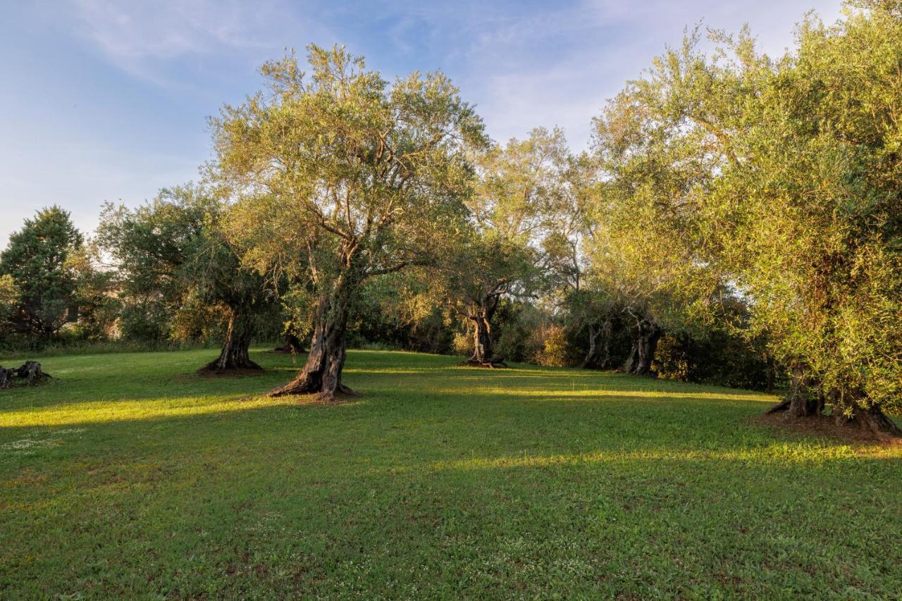 Triklino Estate Villa Áfra Kültér fotó